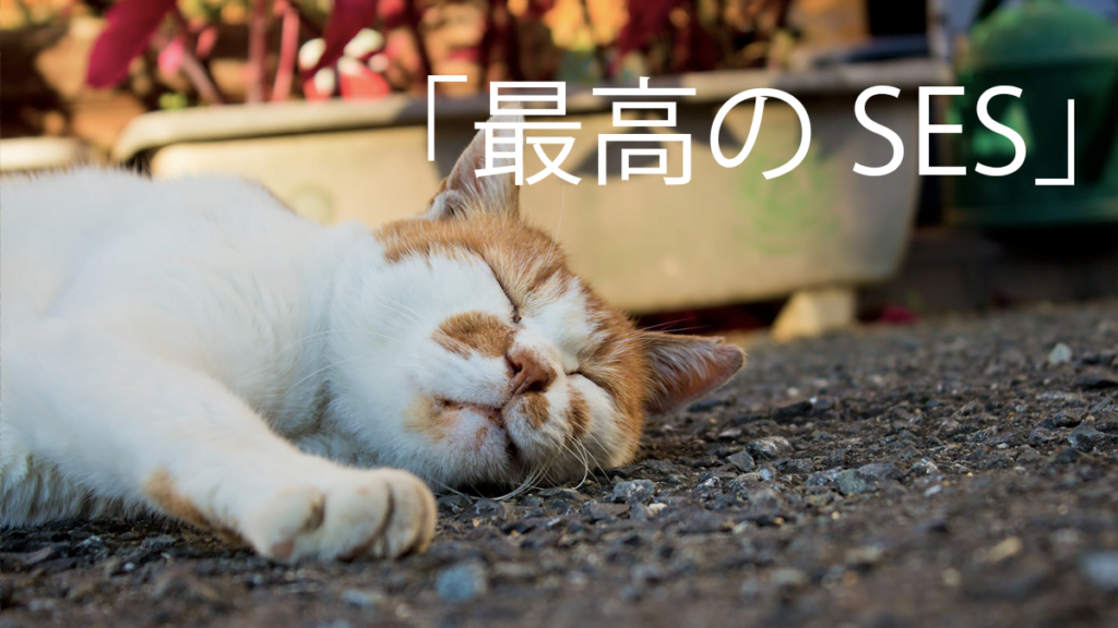 最高のSES猫