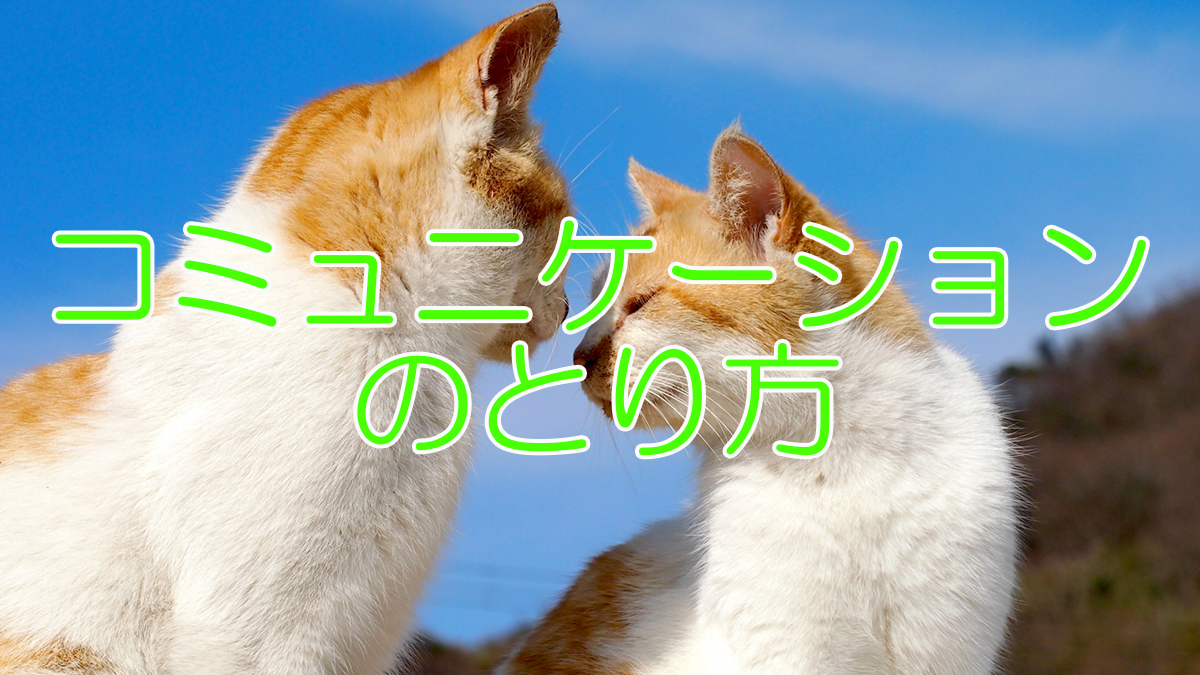 Qukuri流コミュニケーションのとり方