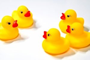 総額50万円!Qukuriの社員紹介制度(リファラル採用)