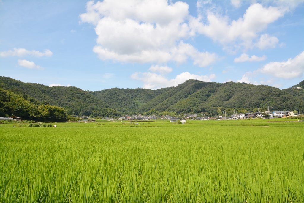 田園でテレワーク